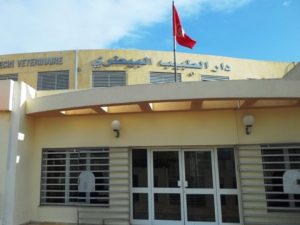 img maison du veterinaire tunisie cnomvt 1 300x225